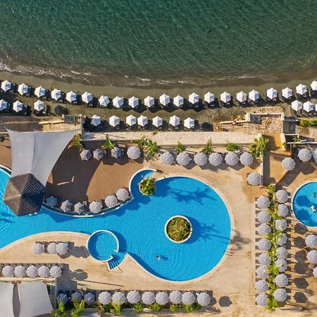 Royal Apollonia By Louis Hotels Лимасол Экстерьер фото